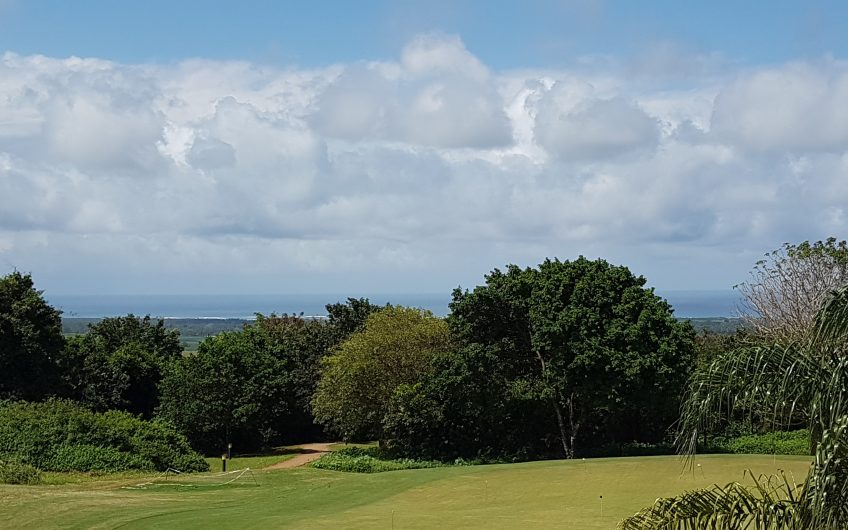VIPINGO RIDGE