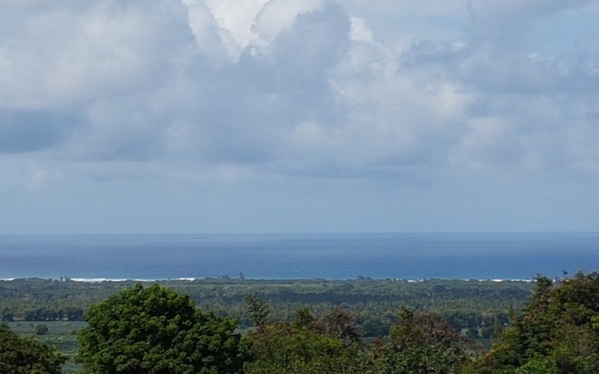 VIPINGO RIDGE