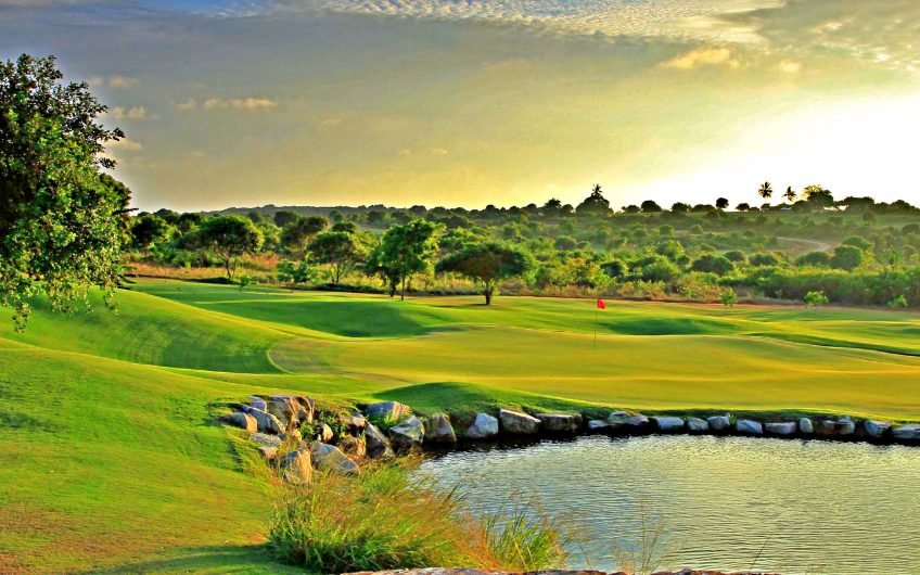 VIPINGO RIDGE