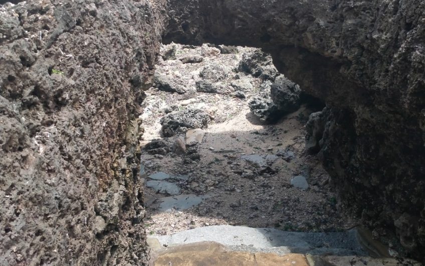 YOUR SLICE OF PARADISE IN MALINDI