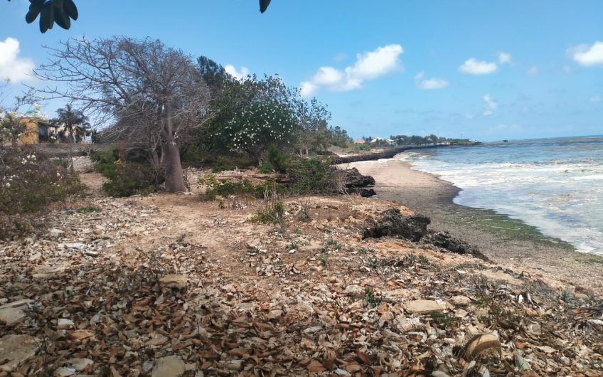 YOUR SLICE OF PARADISE IN MALINDI