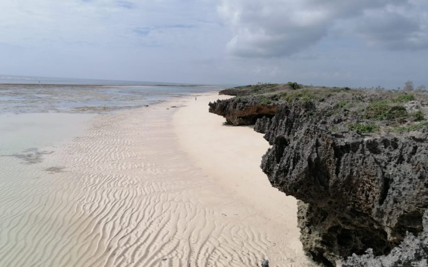 SUPERB 1-ACRE PLOTS ON BOFA BEACH FOR SALE