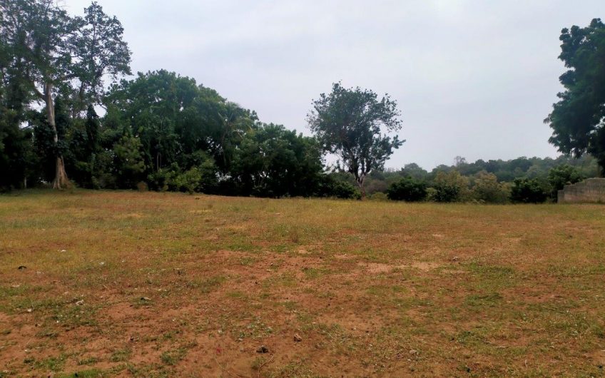MTWAPA CREEKFRONT PLOT FOR SALE