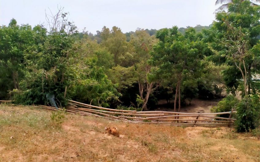MTWAPA CREEKFRONT PLOT FOR SALE