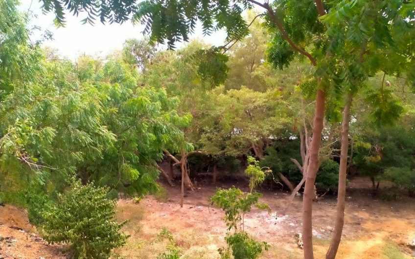 MTWAPA CREEKFRONT PLOT FOR SALE