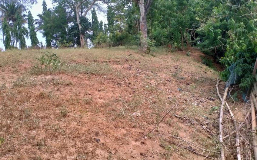 MTWAPA CREEKFRONT PLOT FOR SALE