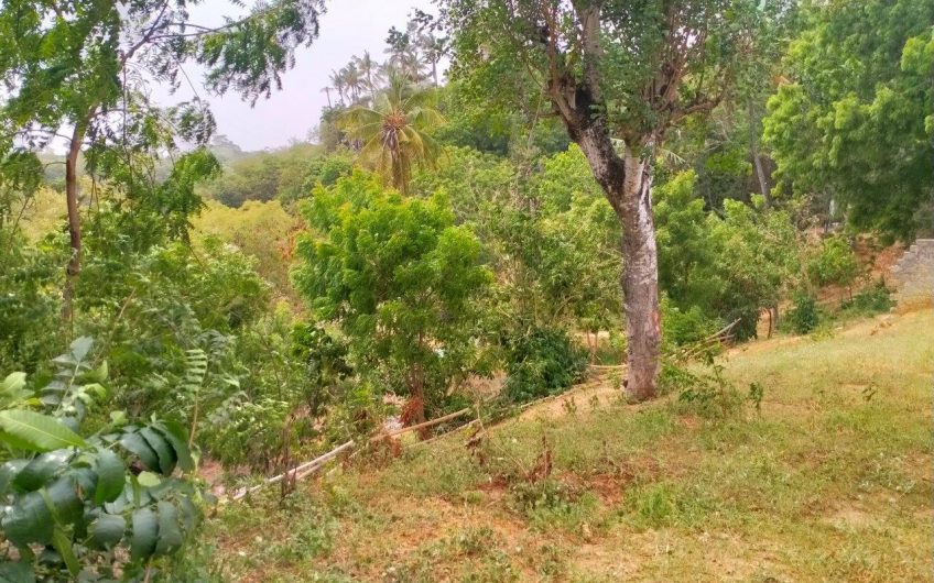 MTWAPA CREEKFRONT PLOT FOR SALE