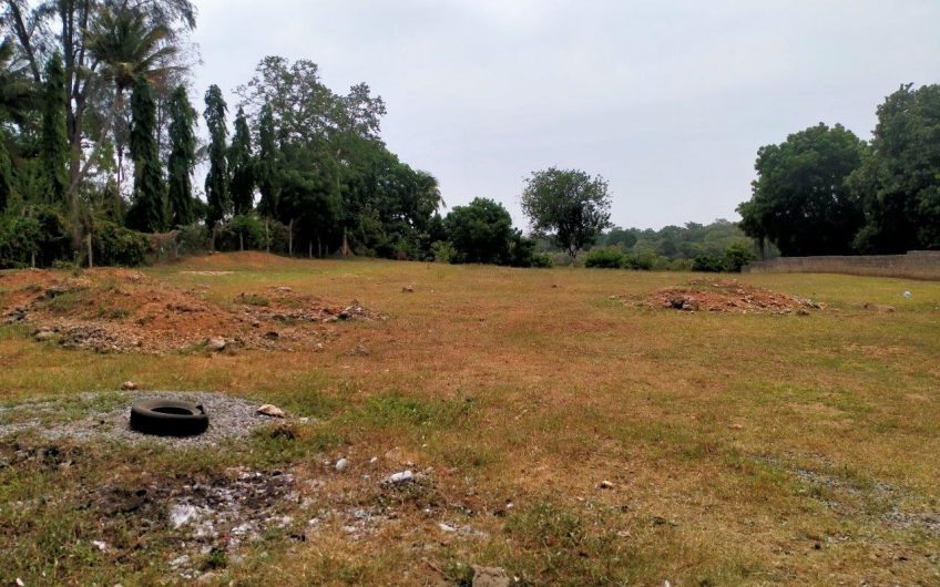 MTWAPA CREEKFRONT PLOT FOR SALE
