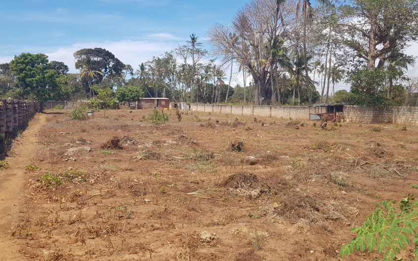 LELO ESTATE: OPPORTUNITY AWAITS