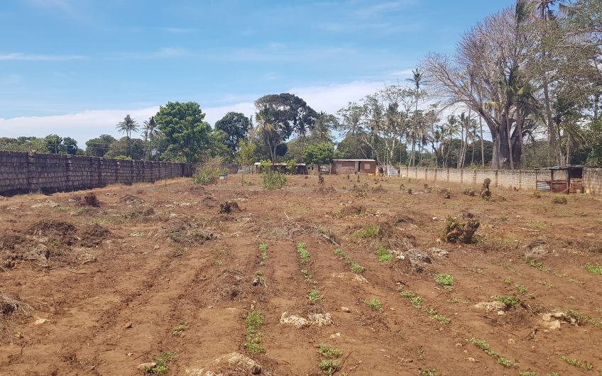 LELO ESTATE: OPPORTUNITY AWAITS