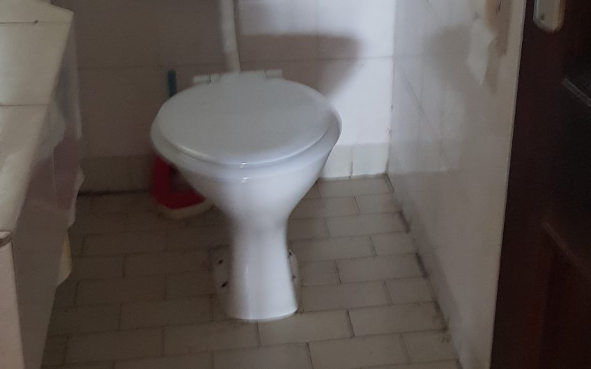 BIASHARA BUILDING: DUPLEX FOR SALE