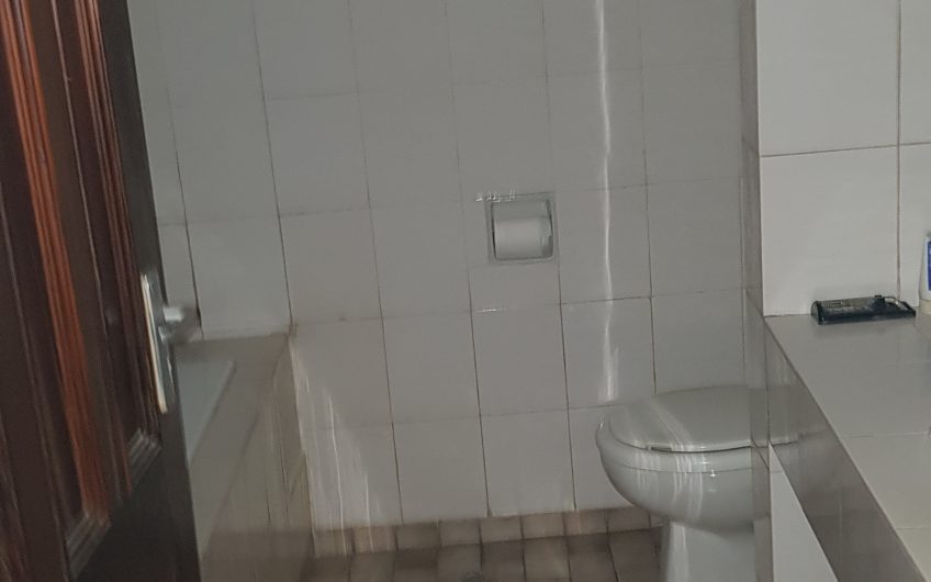 BIASHARA BUILDING: DUPLEX FOR SALE