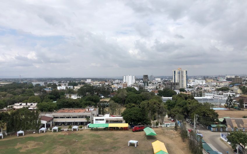 BIASHARA BUILDING: DUPLEX FOR SALE