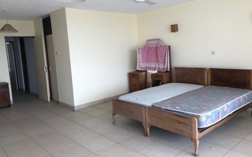 BIASHARA BUILDING: DUPLEX FOR SALE