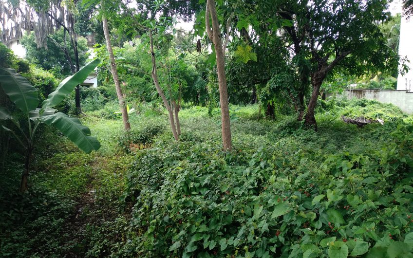 FOR SALE: PRIME 0.5-ACRE PLOT ON KILIMA RD. IN NYALI