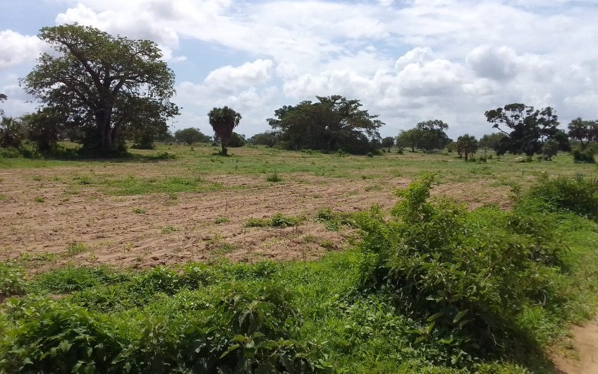 MALINDI PLOTS FOR SALE