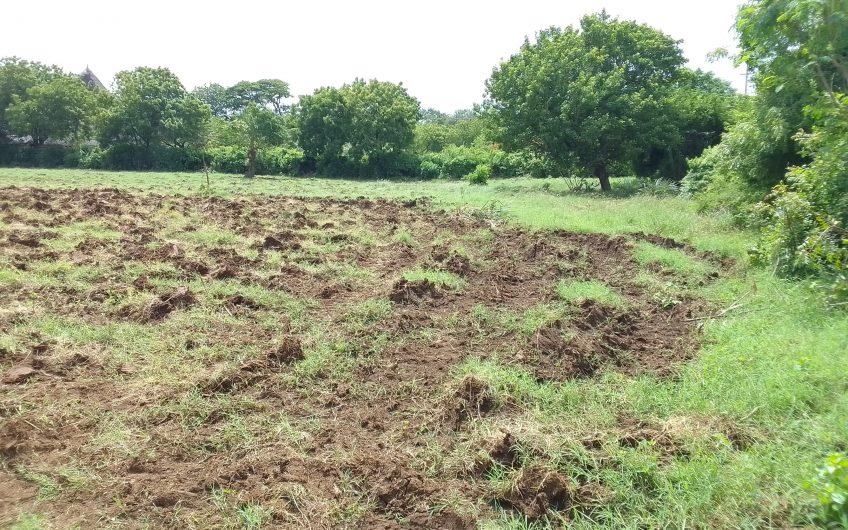 MALINDI PLOTS FOR SALE